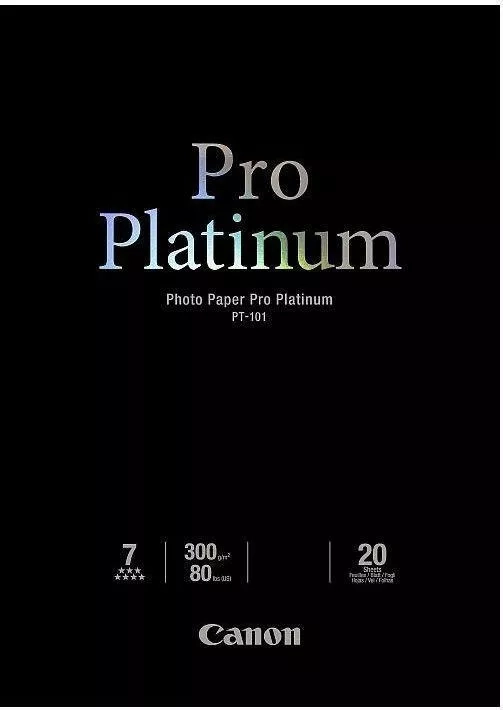pt101.webp